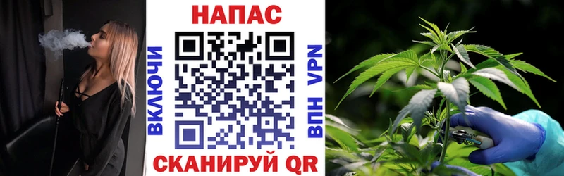 Купить Черноголовка KRAKEN зеркало  Меф мяу мяу  Галлюциногенные грибы  Канабис  ГАШ  А ПВП  Кокаин 